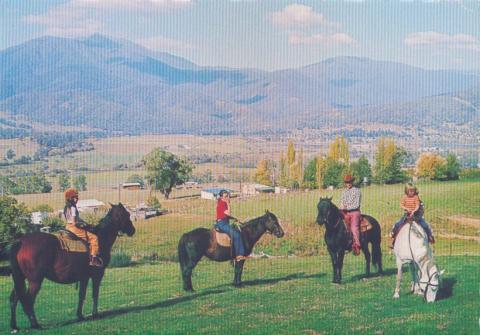 Horseriding, a popular pastime around Mount Beauty