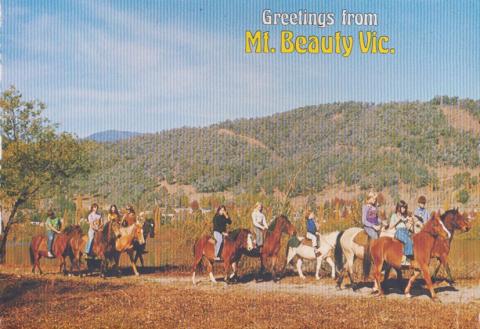 Horseriding. A popular pastime around Mount Beauty