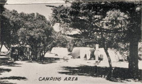 Camping Area, Barwon Heads