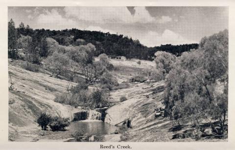 Reed's Creek, Beechworth