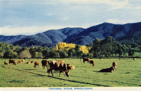 Pastoral scene, Wandiligong