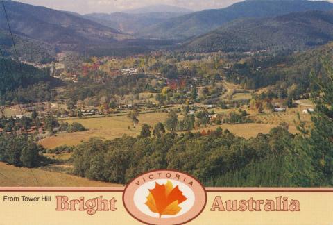 View from Tower Hill looking towards Mt Bogon, Bright