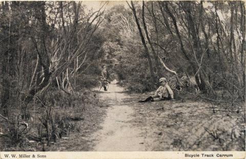 Bicycle track, Carrum