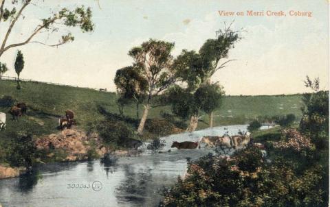 View on Merri Creek, Coburg