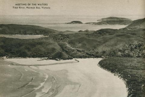 Tidal river, Norman Bay, 1954