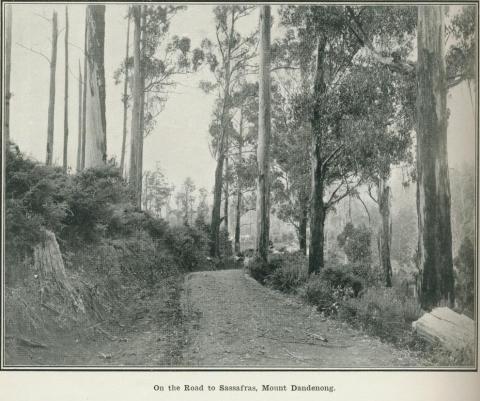 On the road to Sassafras, Mount Dandenong, 1918