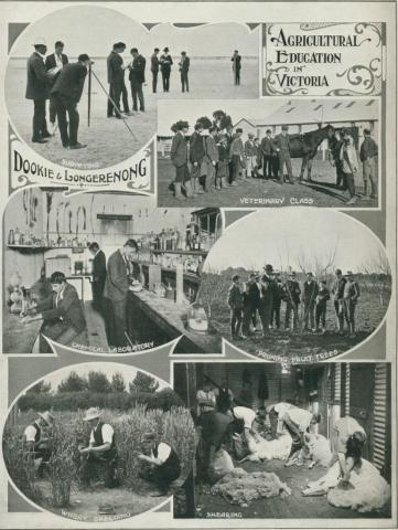 Agricultural education, Dookie and Longerenong, 1918