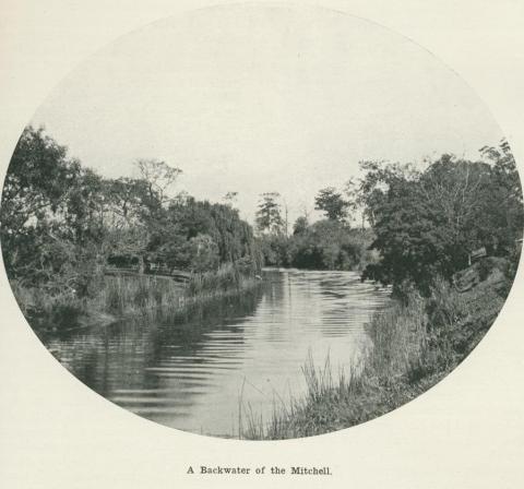 A backwater of the Mitchell River, 1918