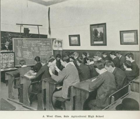 A wool class, Sale Agricultural High School, 1918