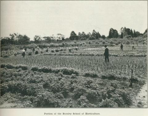 Portion of the Burnley School of Horticulture, 1918