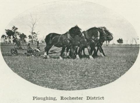 Ploughing, Rochester district, 1918