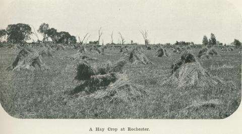 A hay crop at Rochester, 1918