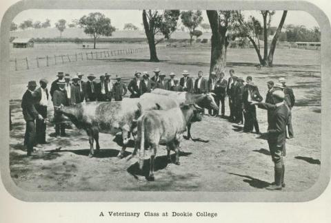 A veterinary class at Dookie College, 1918