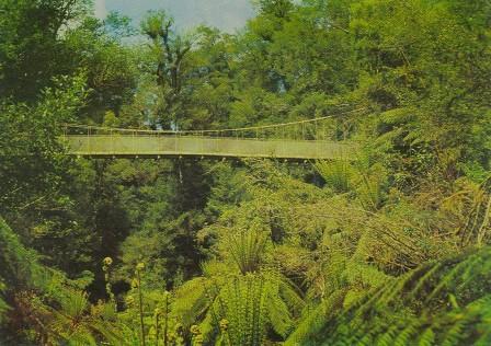 Swinging Bridge, Gippsland