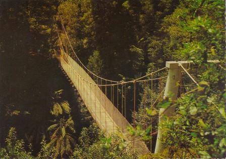 Swinging Bridge, Gippsland