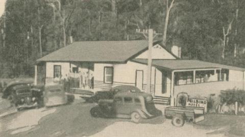 Bellbird Hotel, 1947-48