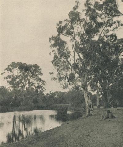 On the Glenelg River, 1943