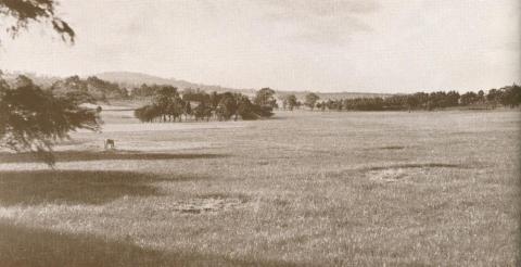 Rosanna Golf Club Course, 1937