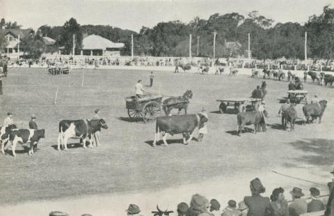 The Agricultural Society's Annual Show, Echuca, 1950