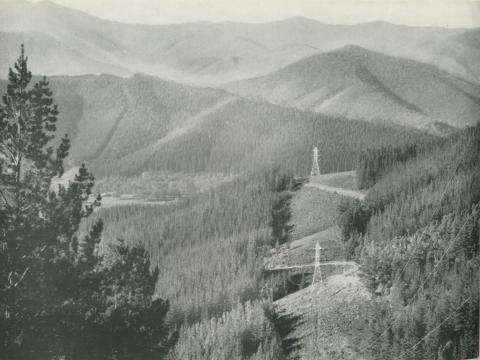 Pine Forest and S.E.C. Powerlines to Melbourne, Bright Shire, c1960