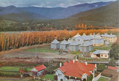 Hop Oasthouses and Tobacco Kilns, Panlook's, Eurobin, c1960