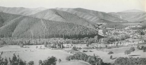 Panorama of Bright, c1960