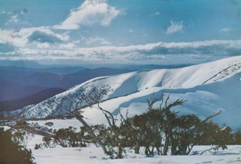 The Bon Accord Spur, part of the Razorback, Mount Buffalo, c1960