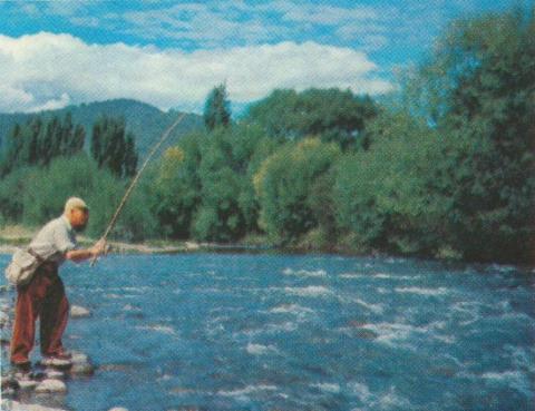 Trout Fishing, Kiewa, 1971