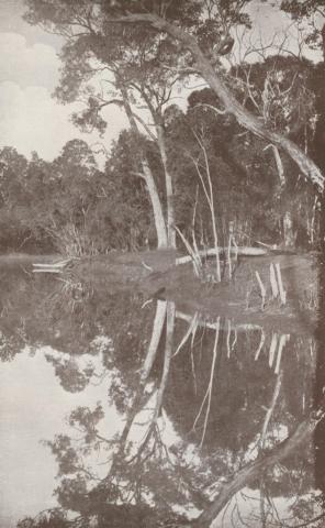 Nowa Nowa Landing, Lake Tyers, 1934