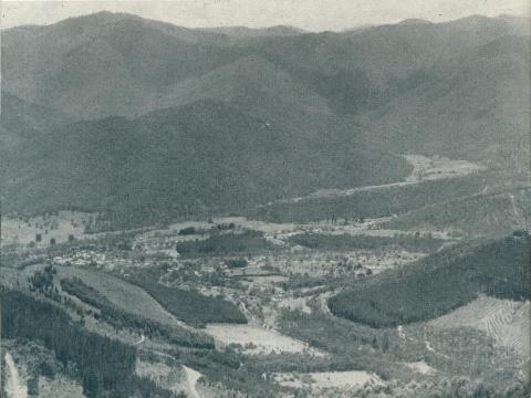 Bright township, from Mount Buffalo, 1951