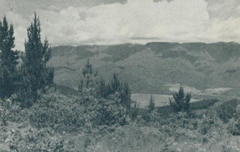 Alpine country, from Mount Buffalo, 1951