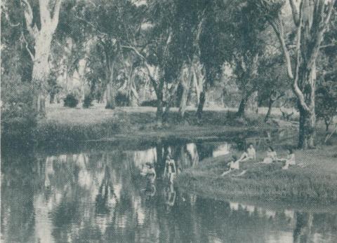 Natural Swimming Pool, Wangaratta, 1951