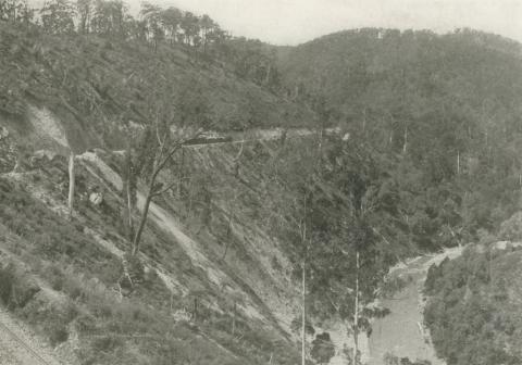 Train entering the Thomson Valley, Walhalla, c1910