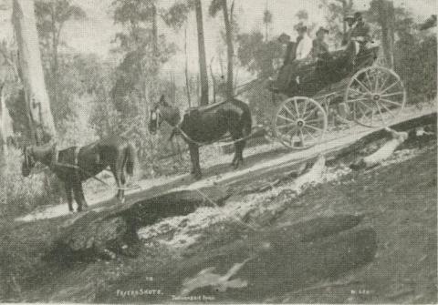 Fryers Shute, Walhalla, c1910