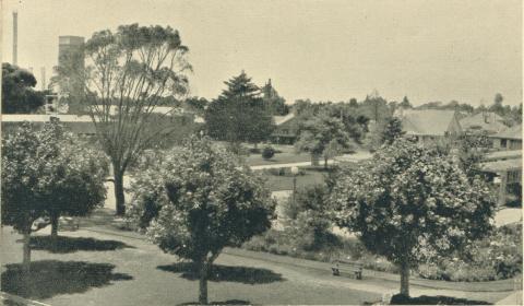 Looking towards Green Street from Broadway, Yallourn, 1961