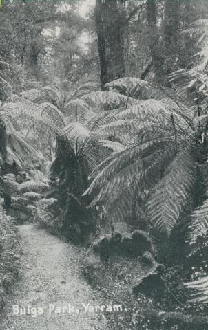 Bulga Park, Yarram, 1947