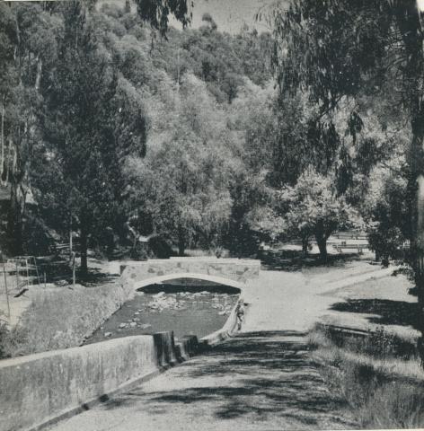 Daylesford Central Springs, 1959