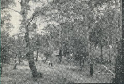 Bushlands, Hepburn Springs, 1959