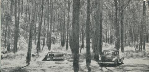 Spa in the woods, Lyonville, 1959