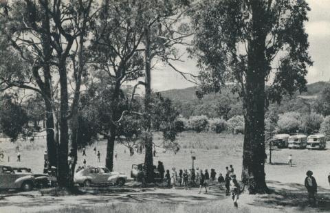 Picnic Ground, Woodend, 1959