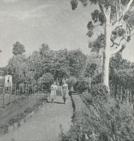 Botanical Gardens, Maryborough, 1959