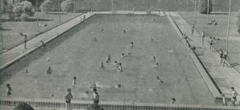 Modern Olympic Pool, Maryborough, 1959