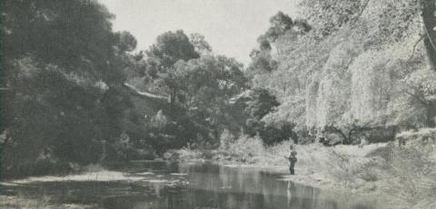 Loddon River, Castlemaine, 1959