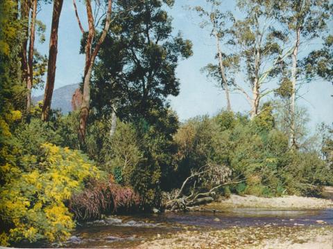 The river at Buxton, c1958