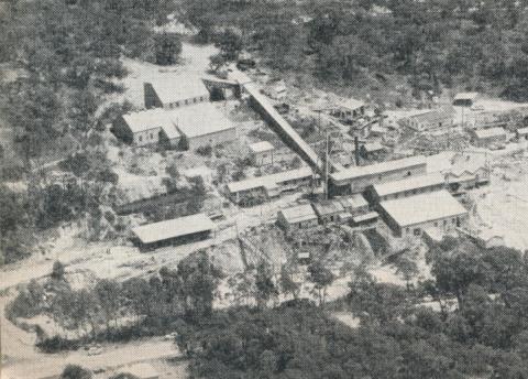 The Wattle Gully Gold Mine, 1961