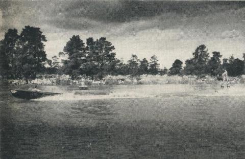 Water Skiing on Lake Victoria, Princes Park, Maryborough, 1961