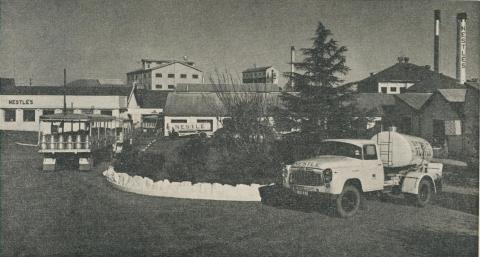 Maffra Co-operative and the Nestle Factory, 1963