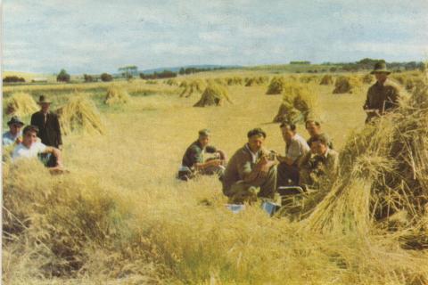 Hay harvesting, Romsey, 1958