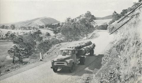 Hauling timber, Heyfield, 1958