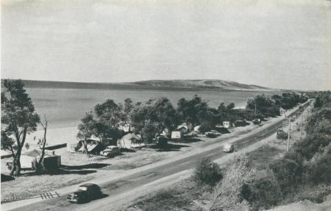 Nepean Highway, near Dromana, 1955